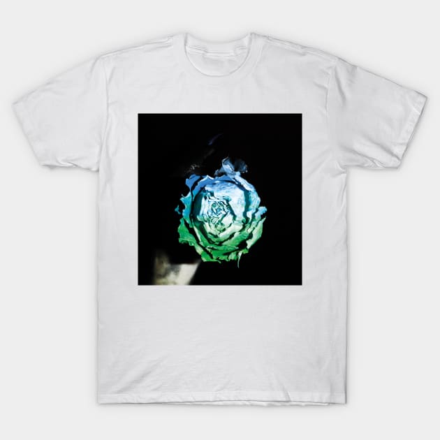 Blue green rose T-Shirt by nimsic